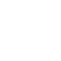 Rise Performance Logo